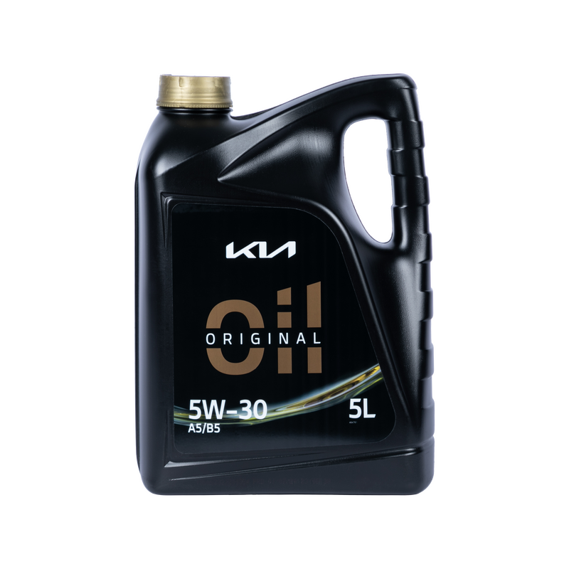 5w-30 A5/B5, 5л